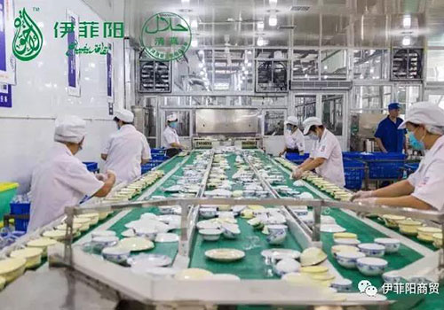 2伊菲阳500.jpg