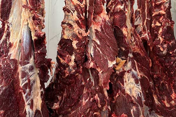 3-海鹰红牛肉.jpg
